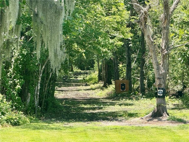 7282 Barataria Blvd, Marrero, LA 70072 - view of yard