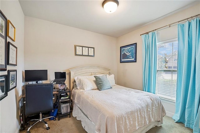 17509 Waterloo Dr, Baton Rouge, LA 70817 - bedroom with carpet floors and an office area