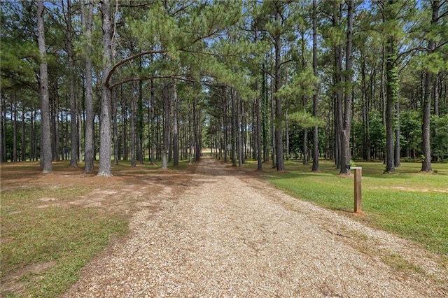 3400 38th Hwy, Kentwood, LA 70444 - photo 47