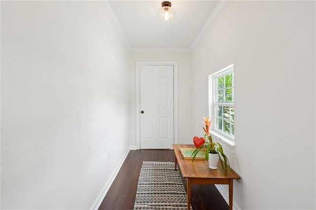 1131 N Roman St, New Orleans, LA 70116 - doorway to outside with crown molding and dark wood-style floors