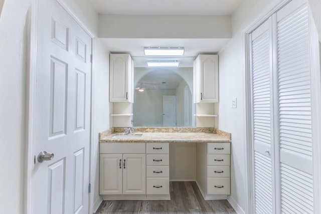 1729 High Ave, Metairie, LA 70001 - bathroom featuring a closet, vanity, and wood finished floors