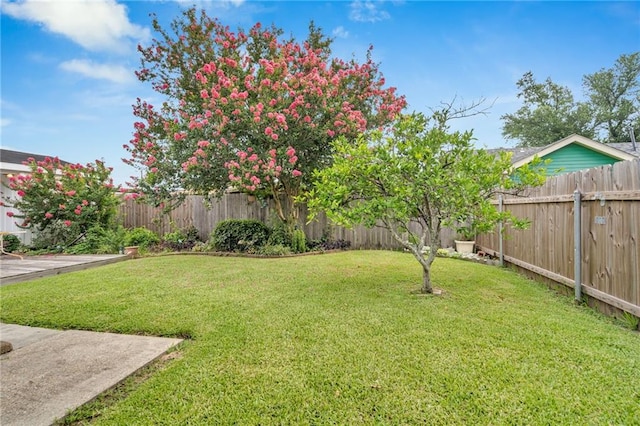 7 Albert Ct, Metairie, LA 70003 - view of fenced backyard