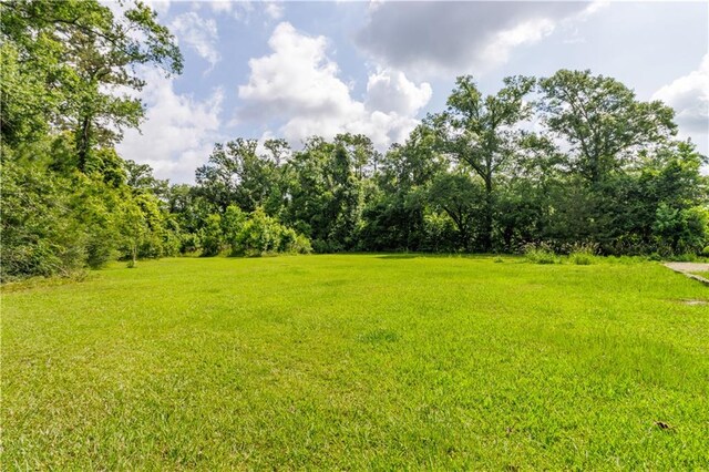 42653-42663 Edgewater Ln, Hammond, LA 70403 - view of green lawn