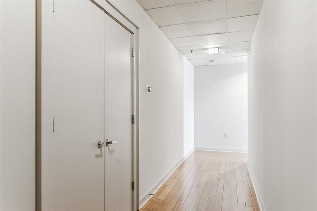 835 Julia St Unit 8, New Orleans, LA 70113 - corridor featuring a paneled ceiling and light wood-style floors