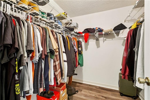 310 Oakley Ln, Destrehan, LA 70047 - spacious closet with wood finished floors