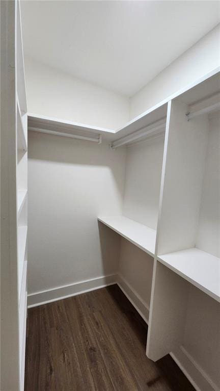 1721 Eagle St, New Orleans, LA 70118 - walk in closet with dark wood-style flooring