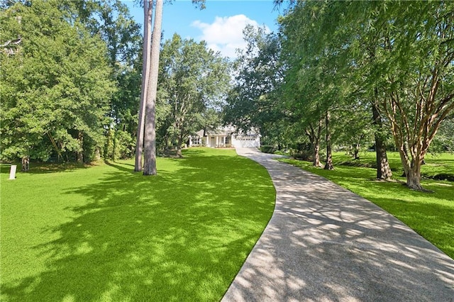 35 Elmwood Loop, Madisonville, LA 70447 - view of property's community with a lawn and view of scattered trees