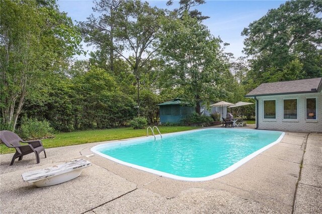 133 Crapemyrtle Rd, Covington, LA 70433 - swimming pool with a patio, a lawn, and an outdoor structure