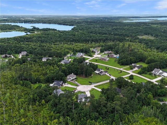 2009 Rubich Ln, Slidell, LA 70461 - aerial overview of property's location with a forest and a large body of water