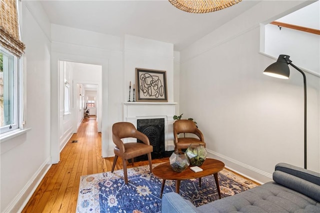 1016 Constantinople St, New Orleans, LA 70115 - living area with light wood-style flooring and a high end fireplace