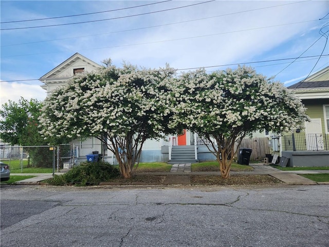 2715 Marengo St, New Orleans, LA 70115 - view of property hidden behind natural elements