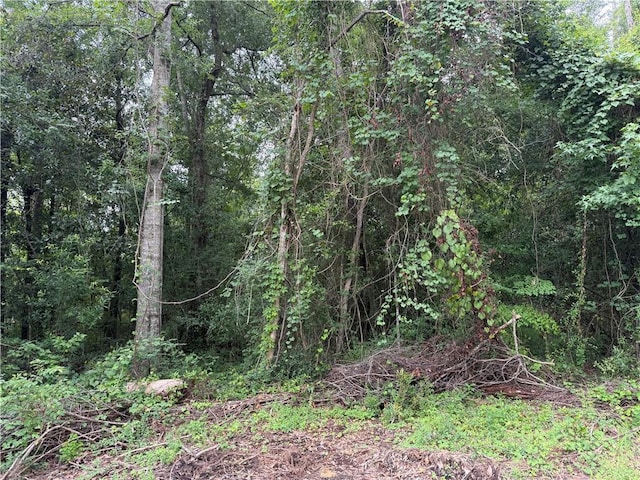 LOT5-A E Pleasant Ridge Rd, Hammond, LA 70403