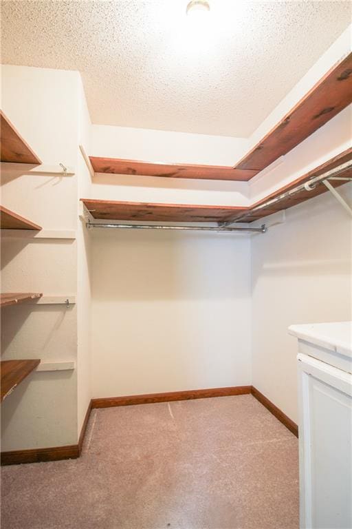 4808 Janice Ave, Kenner, LA 70065 - spacious closet with light carpet