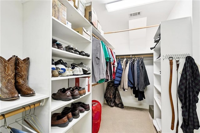 356 Aspen Ln, Covington, LA 70433 - walk in closet with carpet flooring