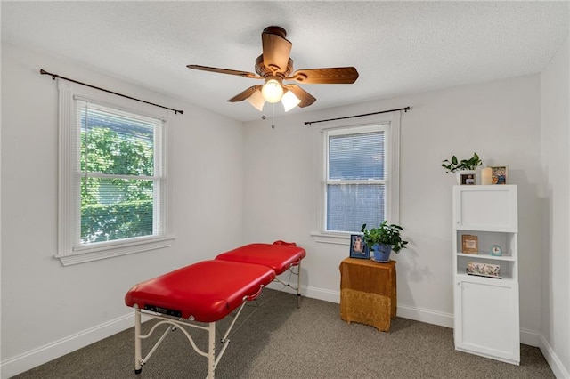 301 Rural St, River Ridge, LA 70123 - misc room with plenty of natural light, carpet floors, a ceiling fan, and a textured ceiling