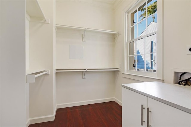 826 Touro St Unit 4, New Orleans, LA 70116 - walk in closet with dark wood-style floors