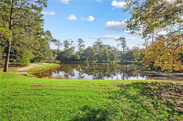 1071 Rue Chinon, Mandeville, LA 70471 - water view