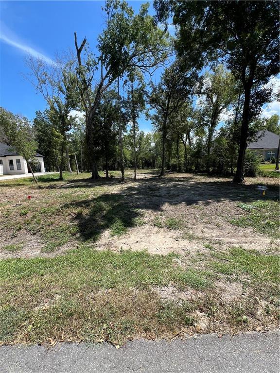 16 Arbor Ln, New Orleans, LA 70139 - photo 1