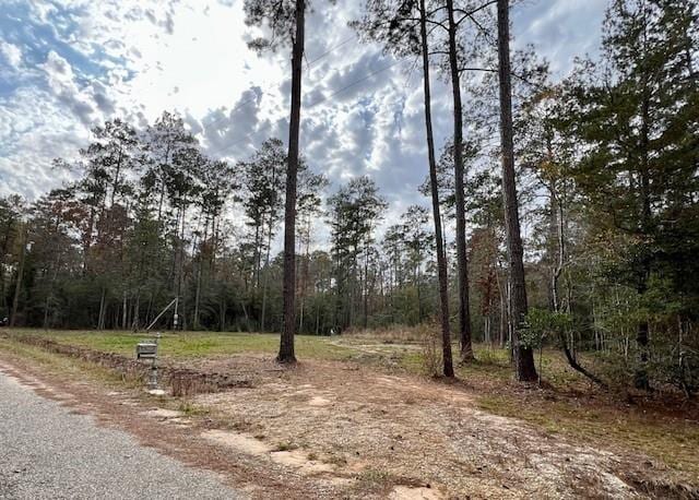 13619 Crabapple Ln, Franklinton, LA 70438