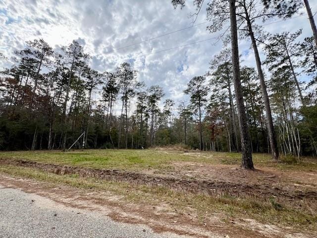 13619 Crabapple Ln, Franklinton, LA 70438