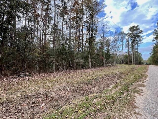 13619 Crabapple Ln, Franklinton, LA 70438