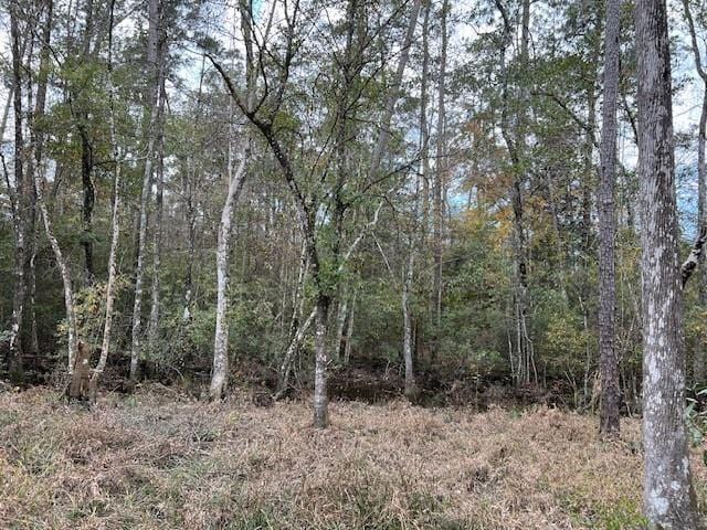13619 Crabapple Ln, Franklinton, LA 70438