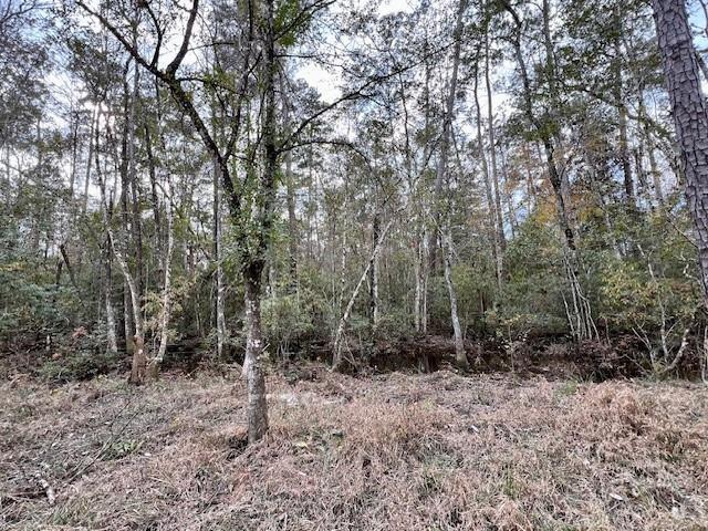13619 Crabapple Ln, Franklinton, LA 70438