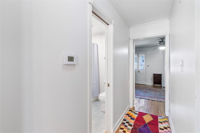 4370 Lasalle St -, Unit New Orleans, LA 70115 - corridor featuring ornamental molding and wood finished floors