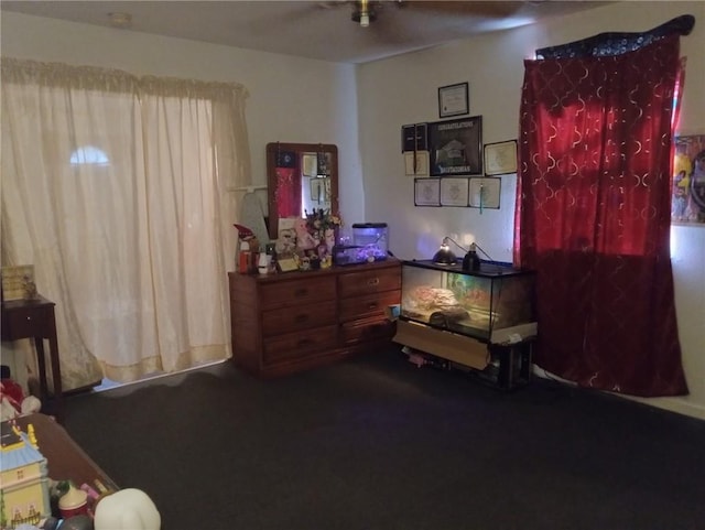 482022 Dauphine St, New Orleans, LA 70117 - view of carpeted bedroom