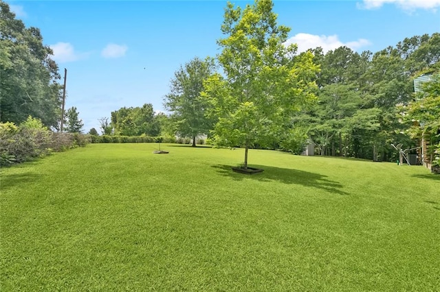 75581 N Hayes Rd, Kentwood, LA 70444 - view of grassy yard