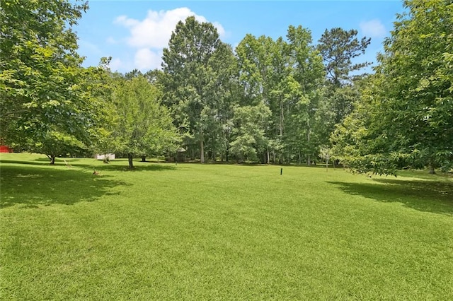 75581 N Hayes Rd, Kentwood, LA 70444 - view of green lawn