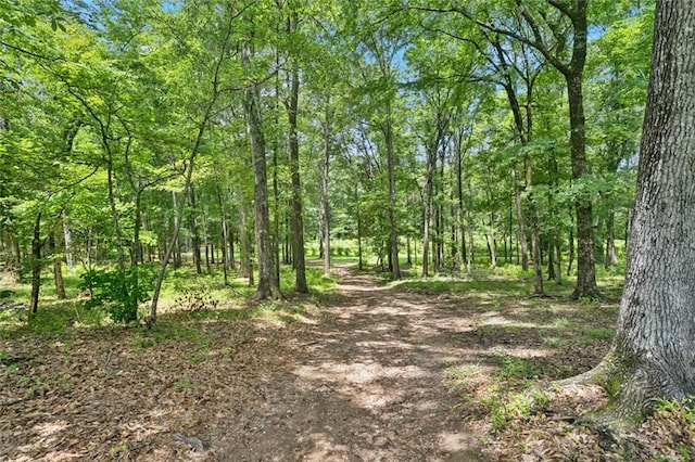 75581 N Hayes Rd, Kentwood, LA 70444 - view of nature