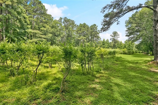 75581 N Hayes Rd, Kentwood, LA 70444 - view of undeveloped land