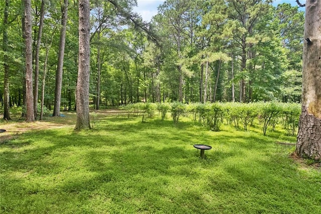 75581 N Hayes Rd, Kentwood, LA 70444 - view of green lawn
