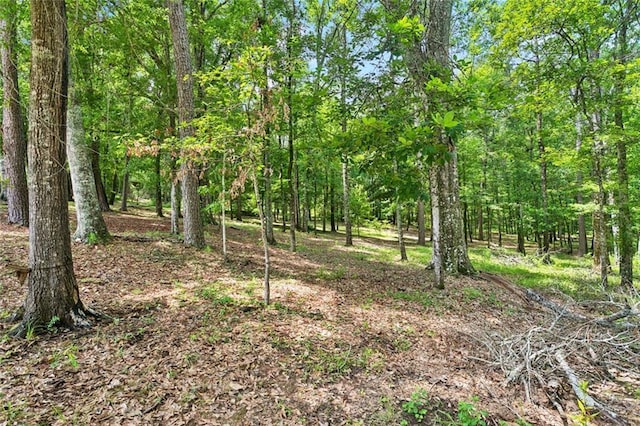 75581 N Hayes Rd, Kentwood, LA 70444 - view of woods