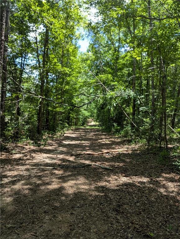 75581 N Hayes Rd, Kentwood, LA 70444 - photo 33
