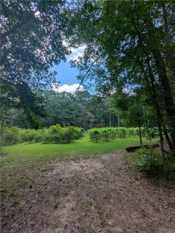 75581 N Hayes Rd, Kentwood, LA 70444 - photo 34