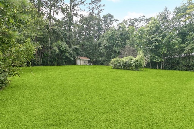 72433 Bullard St, Covington, LA 70435 - view of grassy yard featuring a shed