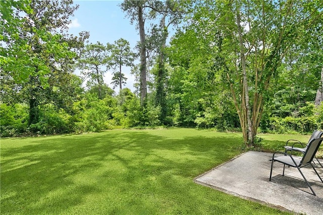 108 N Dr, Covington, LA 70433 - view of grassy yard with a patio