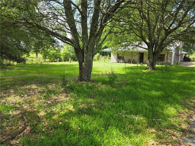 35218 Sunny Hill Rd, Mount Hermon, LA 70450 - photo 5