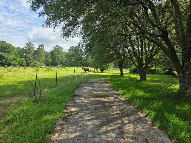 35218 Sunny Hill Rd, Mount Hermon, LA 70450 - photo 7