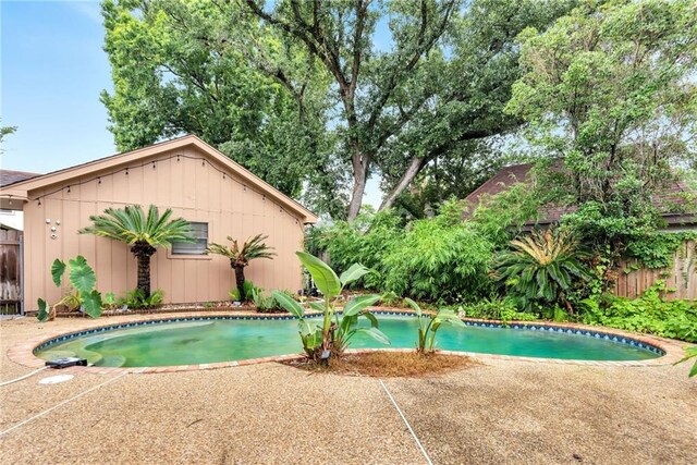 24 Olympic Ct, New Orleans, LA 70131 - photo 31