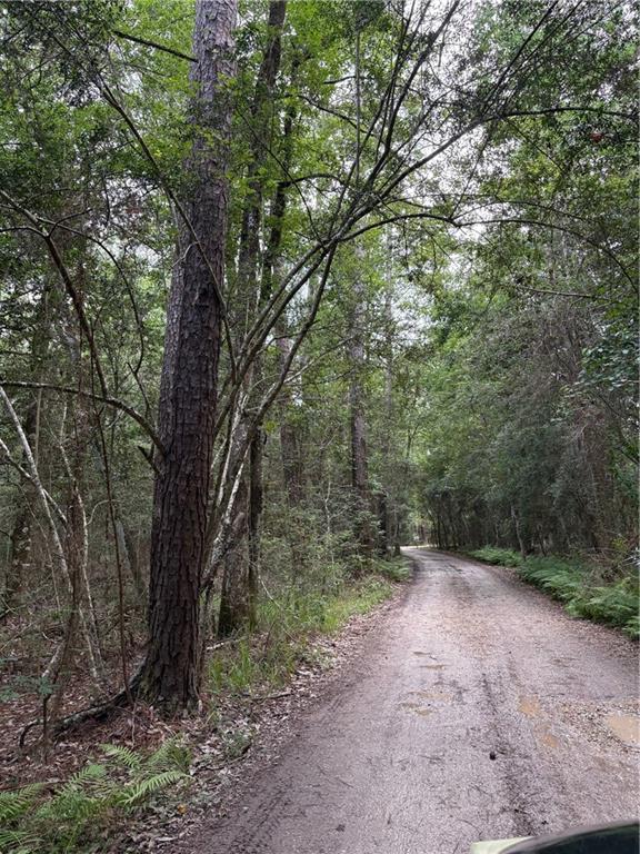 Holly Ln, Covington, LA 70435 - photo 2