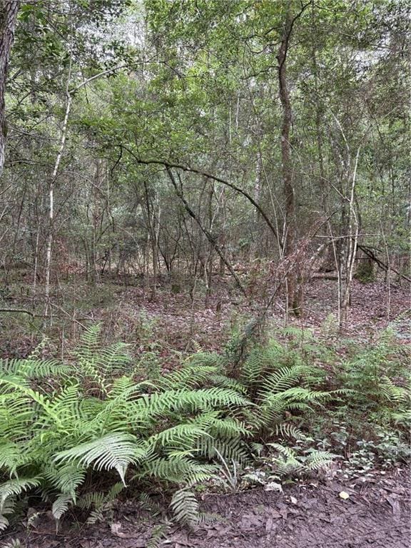 Holly Ln, Covington, LA 70435 - photo 3