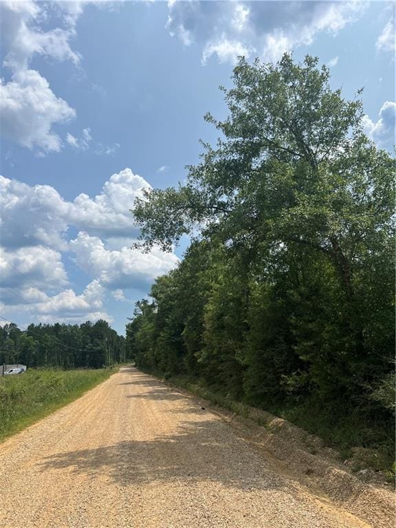 1439 Leonard Chapel Rd, Independence, LA 70443