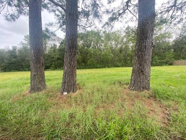 1641 Heights Dr, Saint Bernard, LA 70085 - photo 1