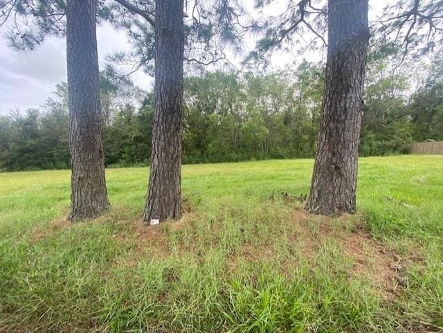 1641 Heights Dr, Saint Bernard, LA 70085 - photo 2