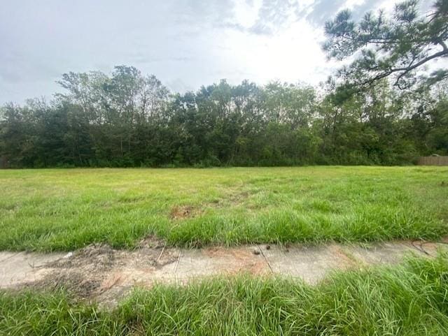 1643 Heights Dr, Saint Bernard, LA 70085 - photo 2