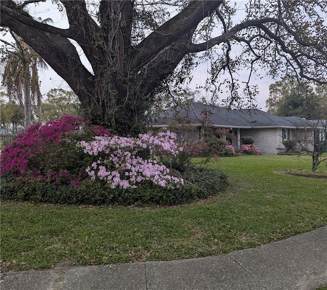 42 Hennessey Ct, River Ridge, LA 70123 - view of property exterior featuring a yard