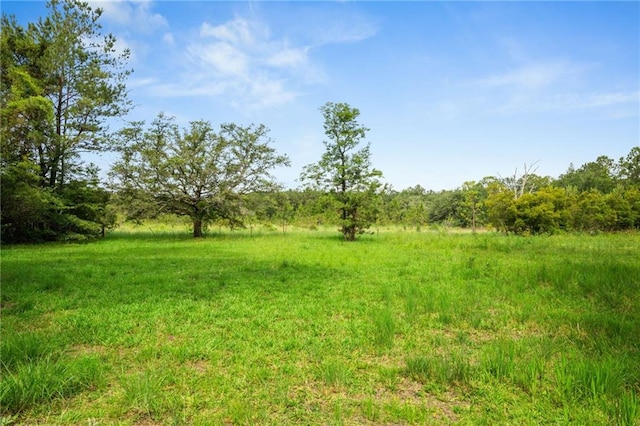31818 Putt Moran Loop, Lacombe, LA 70445